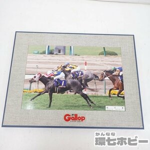 MO33* Heisei era 6 year that time thing weekly gyarop Sakura flower .o Grillo - man photograph panel / horse racing goods poster retro sending :-/100