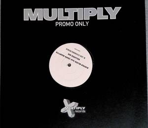 LP レコード　records　MULTIPLY SISTER BLISS feat JOHN MARTYN　DELIVER ME　B. LEE COOMBS REMIX　PROMO ONLY　YL122