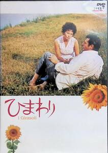 DVD　レンタル落ち　ひまわり　I Girasoli　デジタル・リマスター版　1970年　PA240323K1