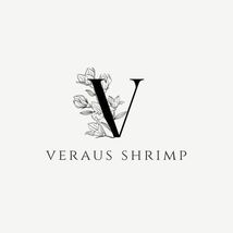 New store!雄1匹【Veraus-shrimp】No.Ⅰ/18mm程度/画像の個体/ターコイズシャドー_画像6