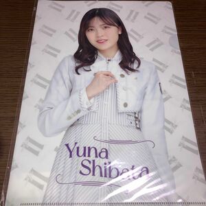 乃木坂46 11th BIRTHDAY LIVE バスラ特典A4クリアファイル　柴田柚菜新品未開封