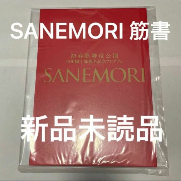 新品未読　SANEMORI 筋書き　宮舘涼太　市川團十郎　歌舞伎　パンフレット