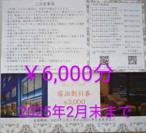 トーセイ TOSEI 株主優待 宿泊割引券 トーセイホテル 3000円 × 2枚