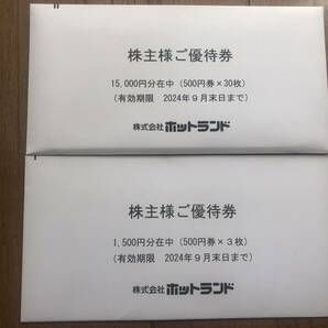 最新 ホットランド (築地銀だこ等) ☆ 株主優待券：16,500円分（500円券33枚）★ 未使用・送料無料の画像1