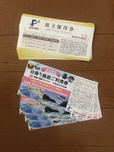 最新 藤田観光 ☆ 株主優待券： 宿泊施設割引券20枚+日帰り施設ご利用券4枚 ★ 送料無料