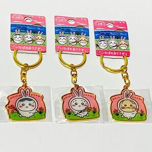 ちいかわ　いなばの白うさぎ　 ご当地キーホルダー 3点セット　山陰限定 