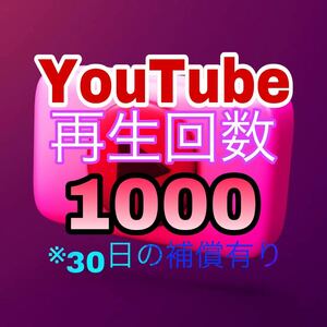 Youtube 再生回数 1000回 【収益化可能】 HP/APP作成します 30日減少保証 ユーチューブ 再生数 視聴回数　Views