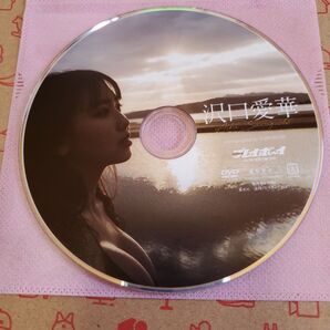 沢口愛華 雑誌付録DVD