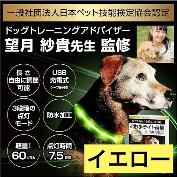 犬猫工房 光る首輪 犬 散歩 光る ライト 首輪 犬の散歩用ライト 目立つ