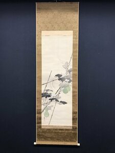Art hand Auction [Copiar] [Una luz] vg7717(Naoki Fukada)Calabaza bajo la luna, caja incluida, mundo del arte de osaka, pueblo shiga, maestro sobumi morikawa, cuadro, pintura japonesa, flores y pájaros, pájaros y bestias