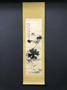 Art hand Auction 【模写】【一灯】vg7806〈渡辺小華〉蓮遊魚画賛 山下青厓極箱 共箱 絖本 椿椿山師事 渡辺崋山次男 明治時代 愛知の人 中国画, 絵画, 日本画, 花鳥, 鳥獣