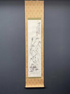 Art hand Auction [Kopie] [Eine Laterne] vg7854(Okuhara Haruko) Krabbenmalerei Bewunderung Malerin China Haruko Privatdame Ibaraki Menschen Meiji-Zeit, Malerei, Japanische Malerei, Blumen und Vögel, Vögel und Tiere