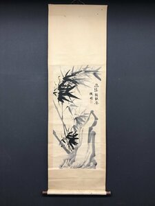 Art hand Auction [Kopie] [Ein Licht] vg7906 (Schwaches Licht) Bambusmalerei Chinesische Malerei, Malerei, Japanische Malerei, Blumen und Vögel, Vögel und Tiere