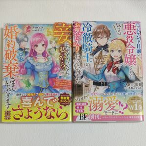  妾になるくらいなら私から婚約破棄させていただきます　バッドエンド目前の悪役令嬢でしたが、気づけば冷徹騎士のお気に入りになっていま