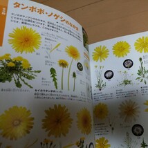 小学館の図鑑NEO 花　DVD付き 児童書 絵本 学習_画像3
