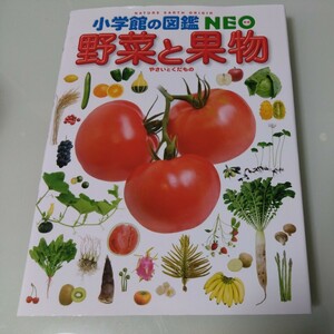 小学館の図鑑NEO 野菜と果物 児童書 学習 絵本