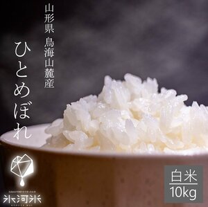 山形県庄内産　氷河米　『ひとめぼれ』　白米１０ｋｇ(５ｋｇ２袋)　令和５年産　産地直送　特別栽培米　送料無料　米　お米　人気