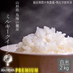 [Нет пестицидов и химических удобрений в период культивирования] Млечный Queen White Rice Rice 2 кг ледник США премиум -класса Shonai -Shonai Product