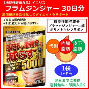 【数量限定】機能性表示食品 フラムジンジャー 30粒 30日分 1袋