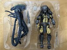 ネカ　エイリアン　VS プレデター NECA avp_画像8