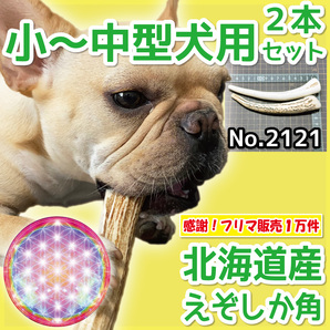 ■ 小～中型犬用 ■ 2本セット ■ 天然 無添加 北海道産 蝦夷鹿の角 ■ 犬のおもちゃ ■ 鹿角 エゾシカ ツノ 鹿の角 犬 21212の画像1