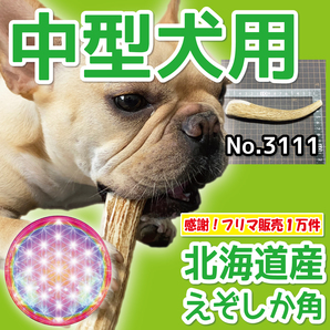 ■ 中型犬用 ■ 天然 北海道産 蝦夷鹿の角 ■ 1本 ■ 犬のおもちゃ ■ 無添加 エゾシカ ツノ 鹿の角 犬 31113の画像1
