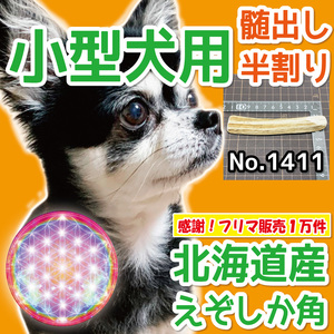 ■ 小型犬用 ■ 天然 北海道産 蝦夷鹿の角 ■ 半割り 1本 ■ 犬のおもちゃ ■ 無添加 エゾシカ ツノ 鹿の角 犬 　14111