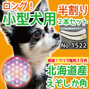 ■ 小型犬用 ■ 半割りロング 2本セット■ 天然 北海道産 蝦夷鹿の角 ■ 犬のおもちゃ ■ 無添加 エゾシカ ツノ 鹿の角 犬 ■ 15221