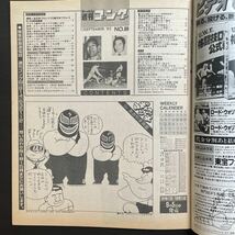 週刊ゴング　1985年9.12 No.68_画像3