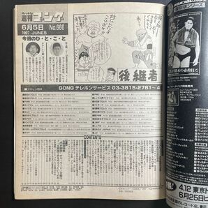 週刊ゴング 1997年6/5 No.666の画像3