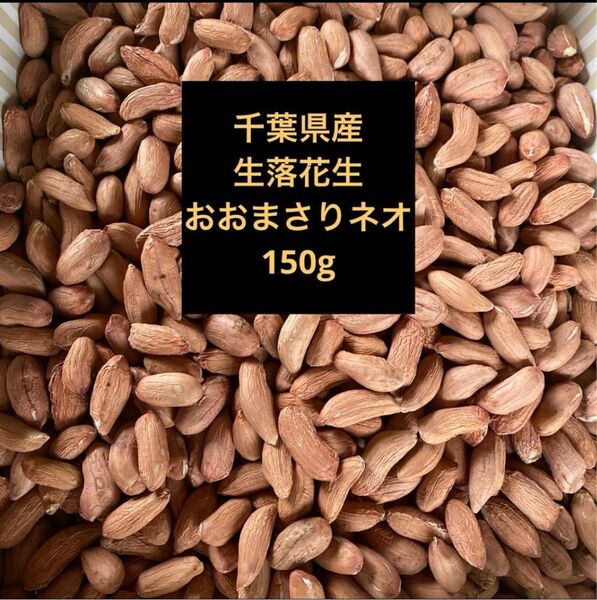 千葉県産　生落花生おおまさりネオ150g