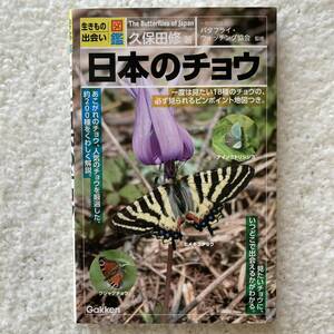 日本のチョウ/久保田修