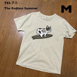 Mサイズ！日本製 TES テス(エンドレスサマー) 古着半袖Tシャツ BUHI サーフ サーフィン The Endless Summer