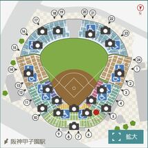 甲子園チケット 阪神ｖｓ広島 4月11日 グリーンシート通路側２連番 良席 阪神タイガース 予備日対応_画像2