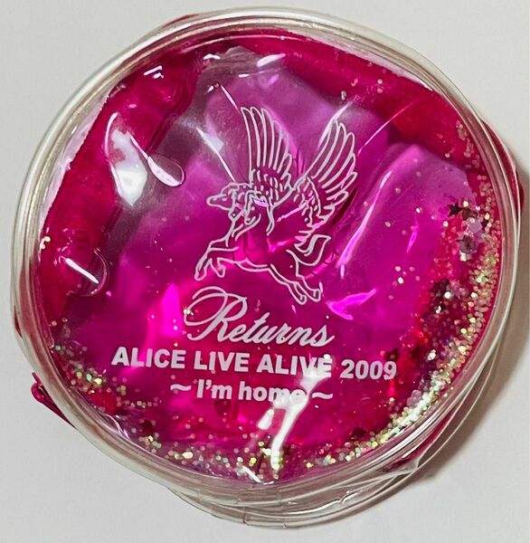 ALICE RETURNS 2009 ALICE LIVE ALIVE 2009～I'm home～　ビニールポーチ　ツアーグッズ