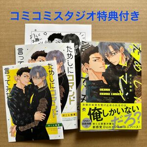 ためしにコマンド言ってみた　コミコミ限定有償特典小冊子・リーフレット・ペーパー付き　ゆくえ萌葱【同梱可】