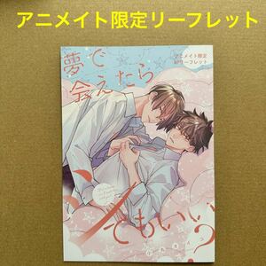 夢で会えたらシてもいい? 小丸オイコ　　アニメイト限定4Pリーフレット【特典のみ・同梱可】