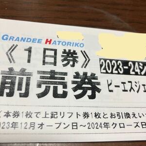 グランディ羽鳥湖スキーリゾート 1日券1枚