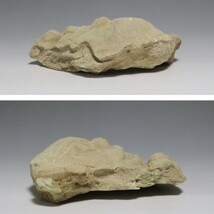 中国古玩　発掘品　饕餮　瓦　残欠　唐時代　怪獣　獅子　インテリア　古代史　時代　コレクター_画像7