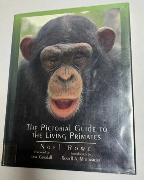 THE　Pictorial Guide To THE Living Primates　サル　マーモセット　タマリン