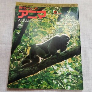 アニマ アマゾンの野生動物たち 中央アルプスの動物誌 チョウの吸水行動 1974.12 NO.21 平凡社