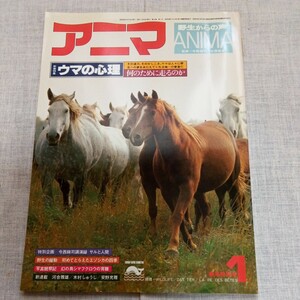 anima1978.1 No.58 horse. mentality ezo deer. four season sima owl Heibonsha 