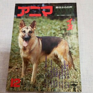 アニマ 1976.12 NO.45 イヌ 表日光のノイヌ 盲導犬 警察犬 牧羊犬 猟犬 平凡社