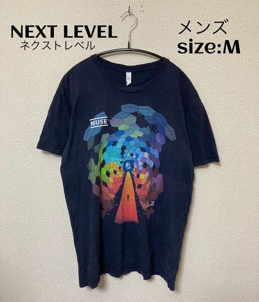 NEXT LEVEL ネクストレベル　Tシャツ USA輸入古着 M