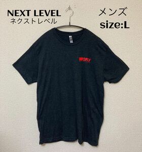 NEXT LEVEL ネクストレベル Tシャツ USA輸入古着 L