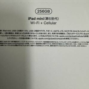 iPad mini Wi-Fi ＋ Cellular 256GB スペースグレイ SIMフリー 2021年モデル ほぼ新品の画像9