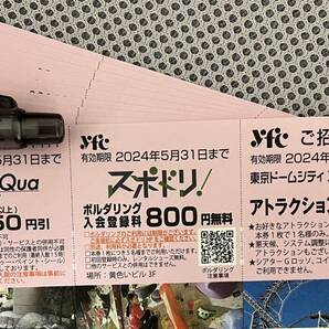 ★東京ドームシティ★アトラクション1回券10枚★有効期限2024年5月31日までの画像1