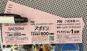 ★東京ドームシティ★アトラクション1回券10枚★有効期限2024年5月31日まで