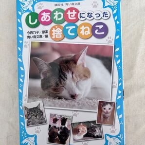 読書感想文にもおすすめ!朝の読書に読んでました!中学年〜中学生向け!しあわせになった捨て猫 / 講談社/青い鳥文庫 / 猫