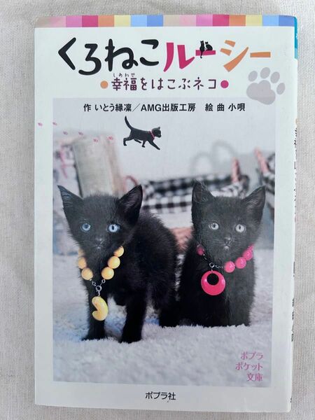 朝の読書に読んでました！低学年〜中学生向け！くろねこルーシー/幸福をはこぶネコ/ポプラポケット文庫/ポプラ社